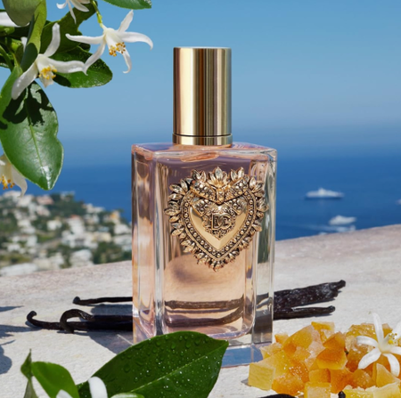 杜嘉班納 D&G Devotion 摯愛奉獻濃香水 EDP 100ml