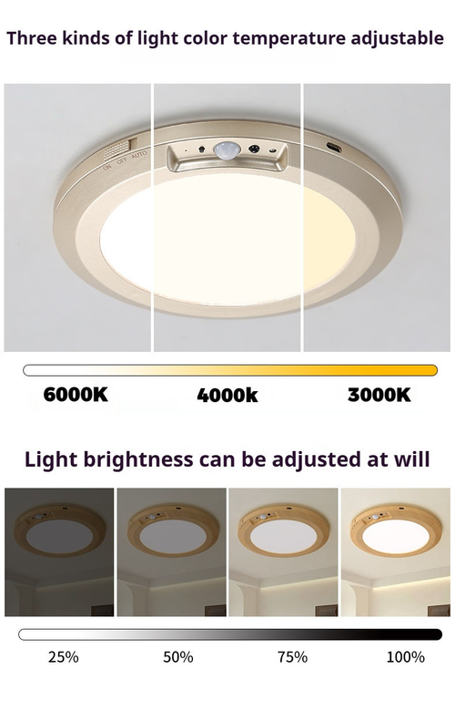 2026 Model Magnetic Wireless Ceiling Light (Cash on Delivery Available)
