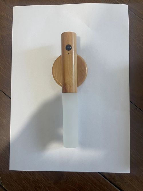 Peach Blossom Motion-Activated Night Light - Smart LED Path Light w| Auto-Dimming & USB Recharge | Hallway|Outdoor Safety