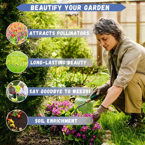 🔥Hot Seller🔥 COD！Perennial Wildflower Seed Mix: A Blend of Cold-Hardy Flower and Herb Seeds—Easy to Grow in Your Garden, Four-Season Blooms, and Balcony Landscaping
