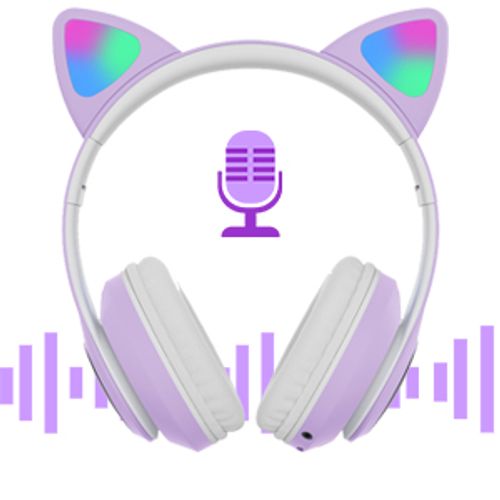earphone