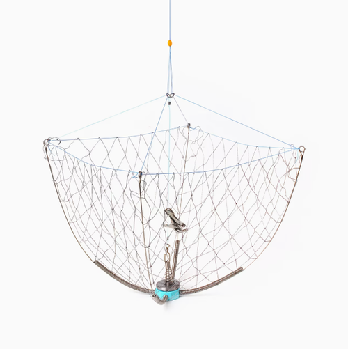 Crab Trap, Foam Ring