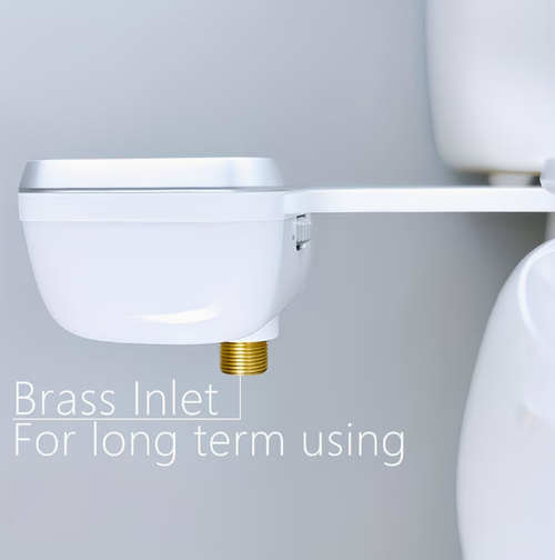 Electric toilet seat bidet