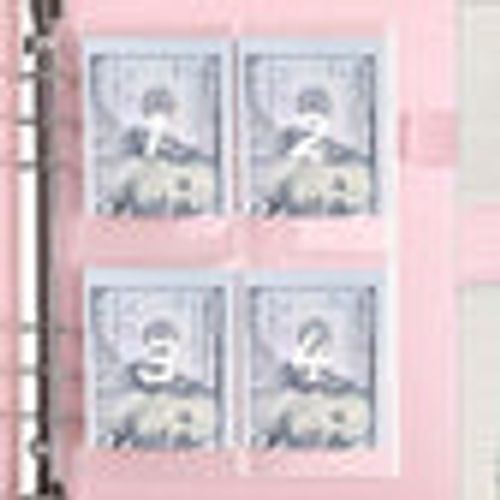 100-day Money-saving Envelope Challenge Binder
