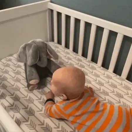 Peek-A-Boo-Elephant - Interactive Plush Toy