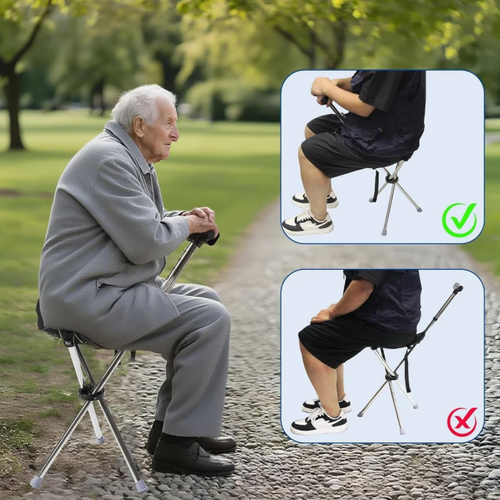 Outdoor walking stick stool