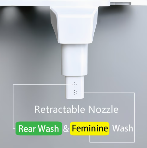 Electric toilet seat bidet