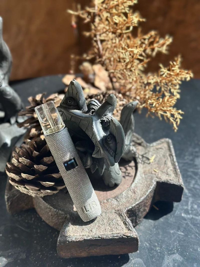 ILIA哩亞布紋電子煙設備