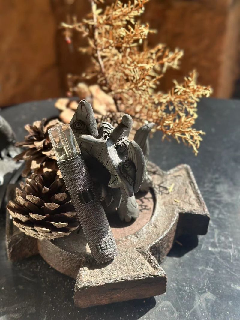 ILIA哩亞布紋電子煙設備