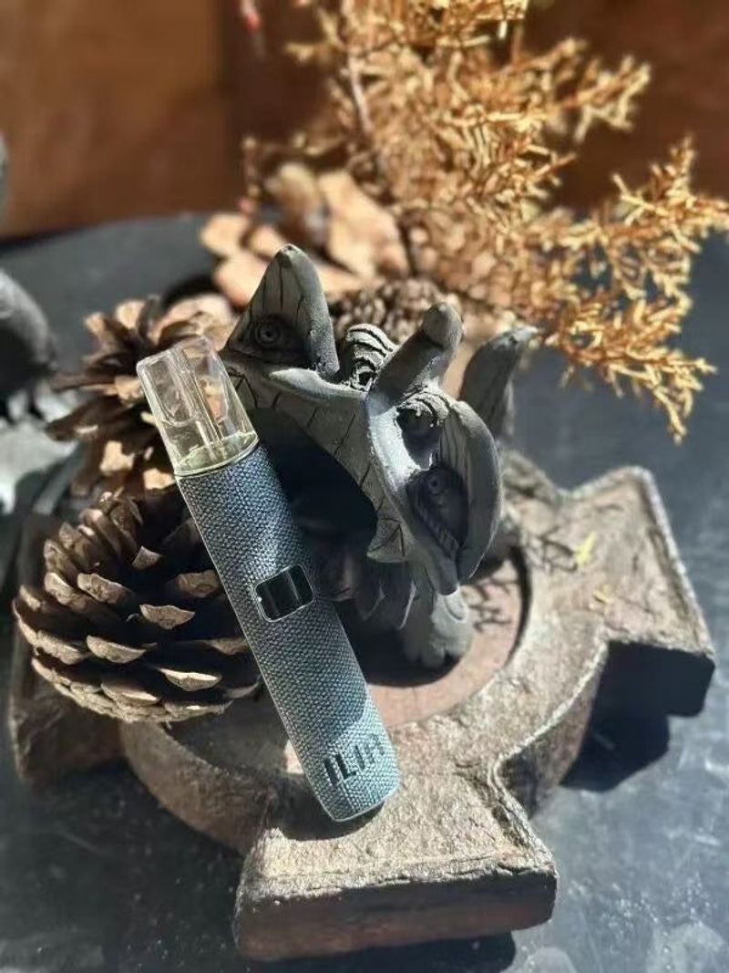 ILIA哩亞布紋電子煙設備