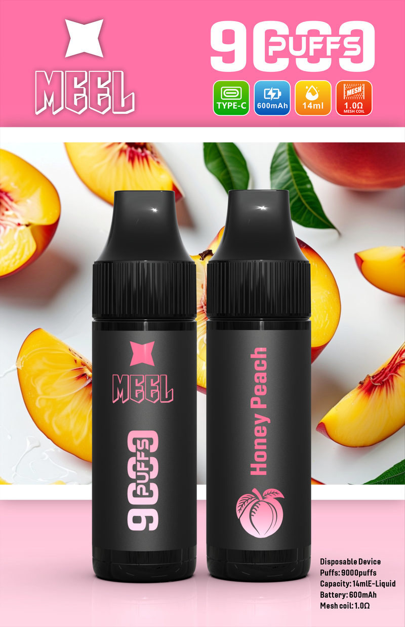 MEEL9000口拋棄電子煙