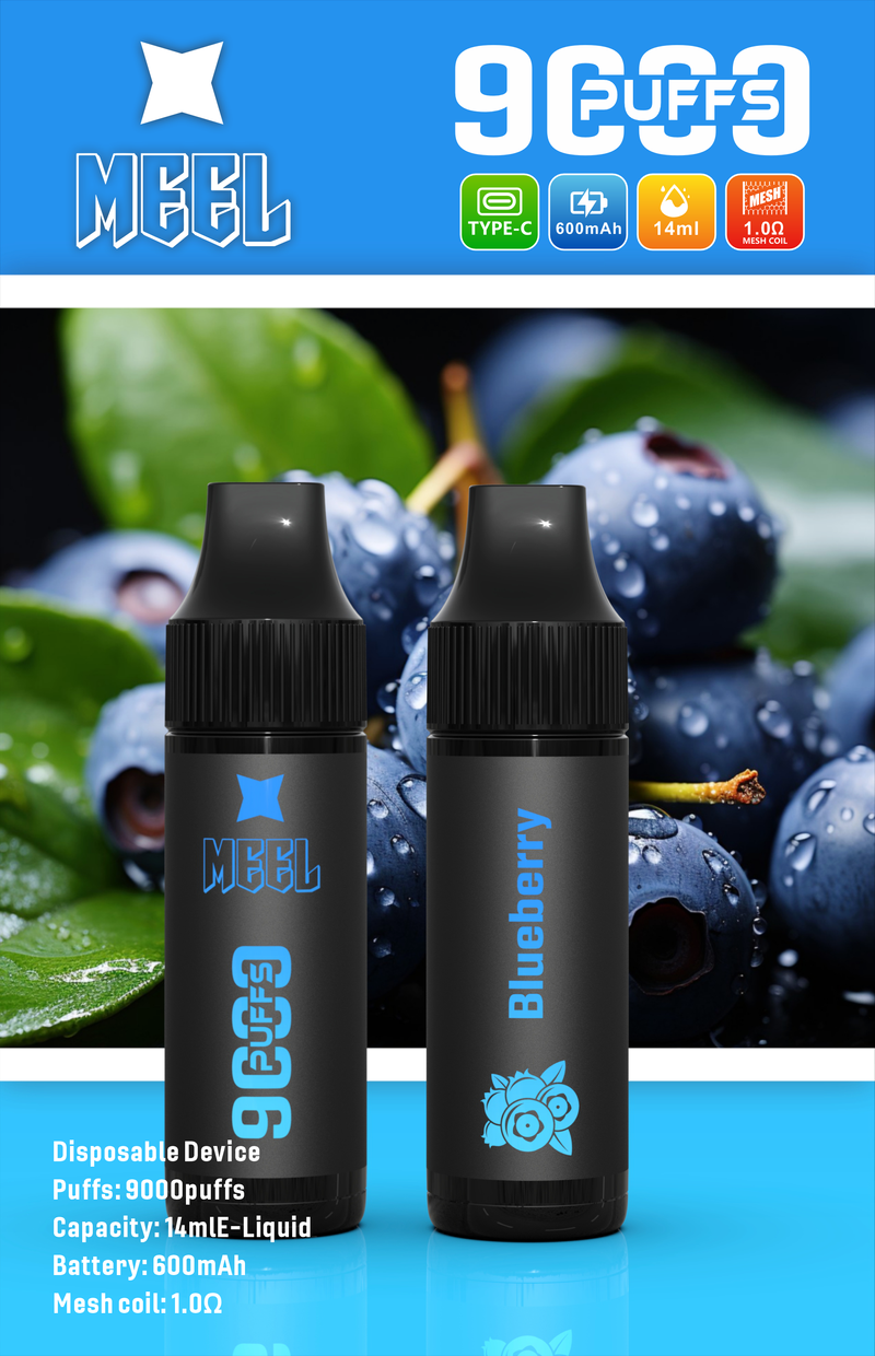 MEEL9000口拋棄電子煙