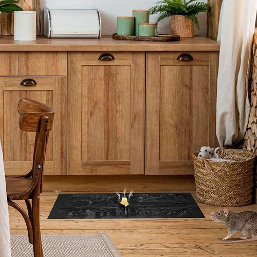 Strong sticky mouse trap