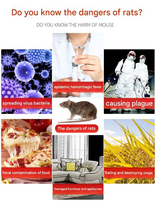 Fully Automatic Mouse Trap Cage — Household Metal Rodent Catcher for Continuous Trapping and Extermination