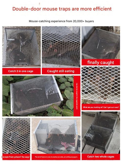 Fully Automatic Mouse Trap Cage — Household Metal Rodent Catcher for Continuous Trapping and Extermination