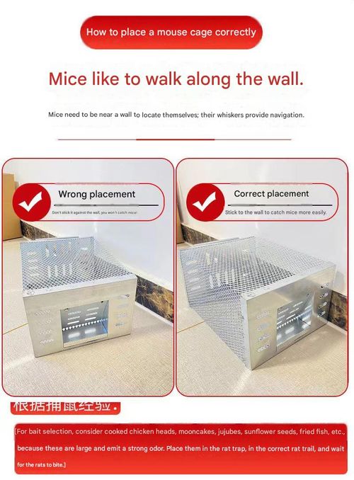 Fully Automatic Mouse Trap Cage — Household Metal Rodent Catcher for Continuous Trapping and Extermination