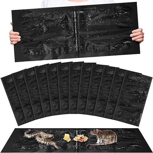 Strong sticky mouse trap