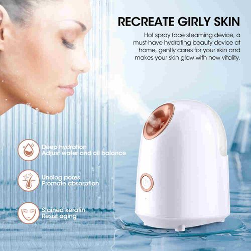 Oferta especial por tempo limitado Electric nano ion spray beauty equipment vapor face instrument