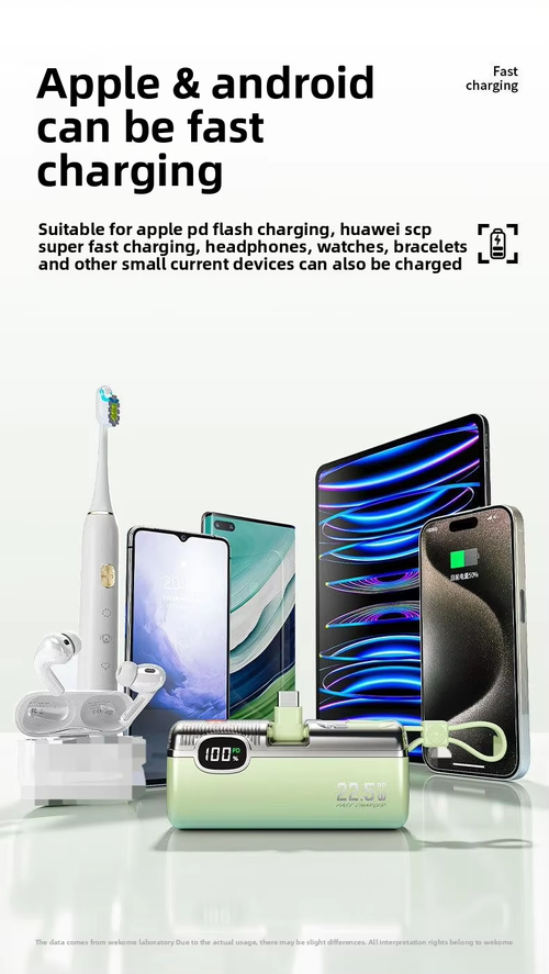 Portable mini charger