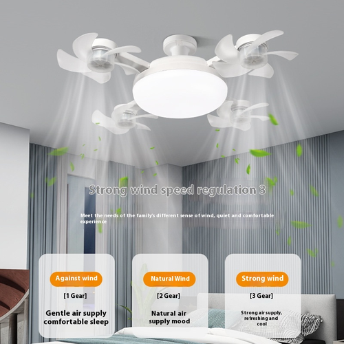 2-in-1 Ceiling Fan with Light
