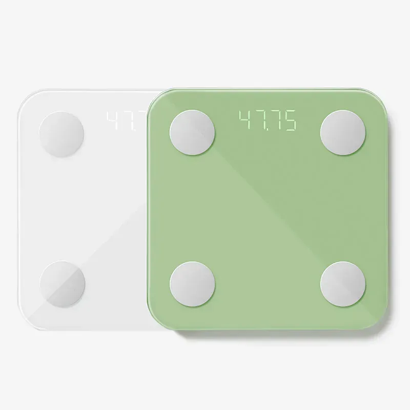 Body Fat Scale