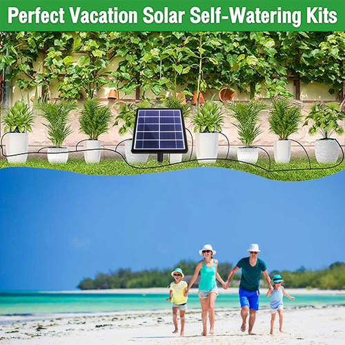 Hot-Selling New Solar-Powered Timed Plant Waterer