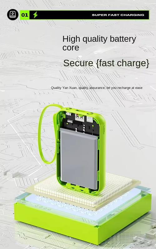 Portable Multi-Functional Power Bank