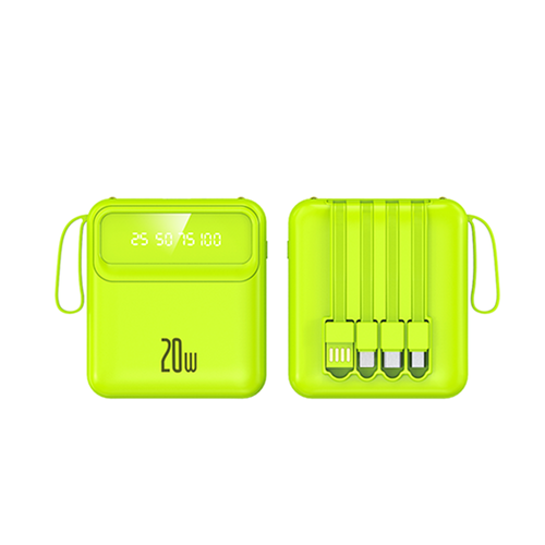 Portable Multi-Functional Power Bank
