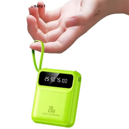 Portable Multi-Functional Power Bank