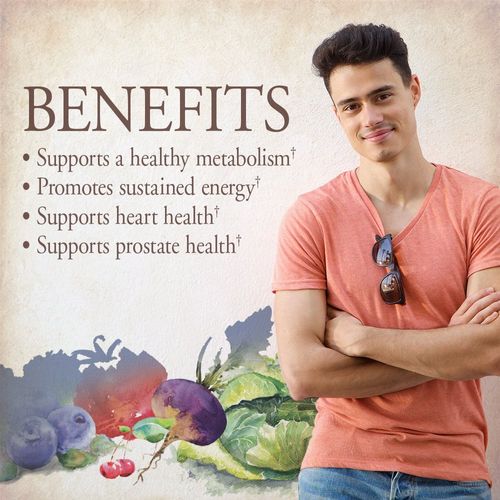 Garden of Life Organics Men's Once Daily Whole Food Multivitamin - 60 Tablets, Vegan Mens Multi for Health & Well-Being, Organic Mens Vitamins & Minerals, Vitamin C, Zinc 4 sales