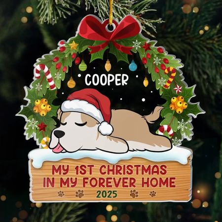 First Paws Under The Tree - Dog & Cat Personalized Custom Ornament - Acrylic Custom Shaped - Christmas Gift For Pet Owners, Pet Lovers, First Christmas