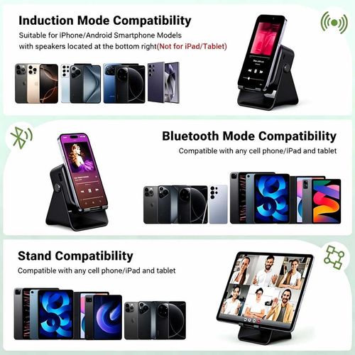 5-in-1 Wireless Induction Speaker Stand