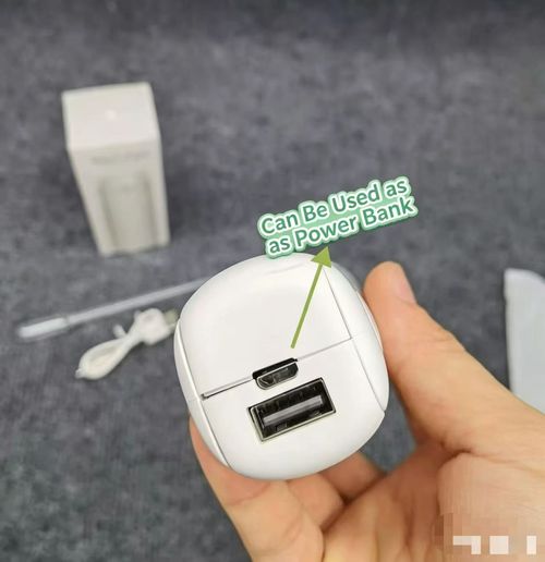 Multifunctional Misting Fan with Power Bank