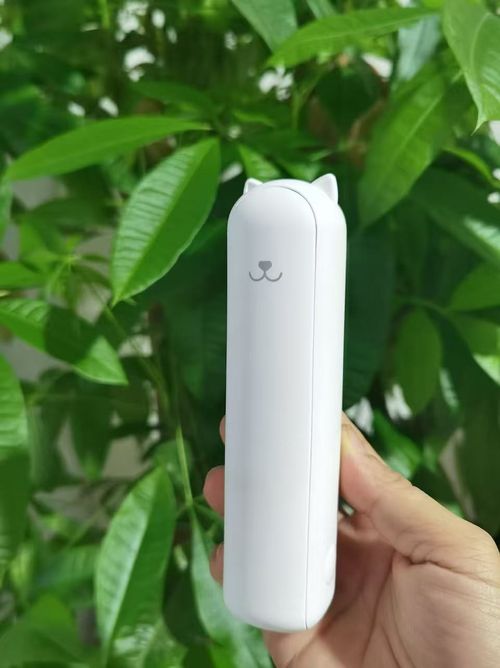 Multifunctional Misting Fan with Power Bank
