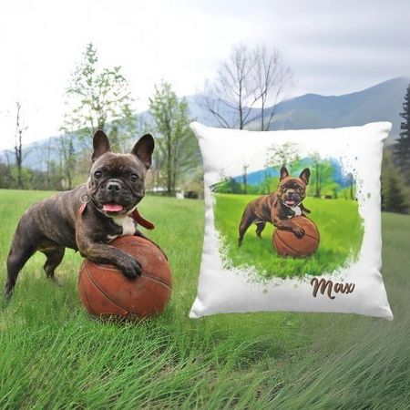 Your pet in comics-on a pillow