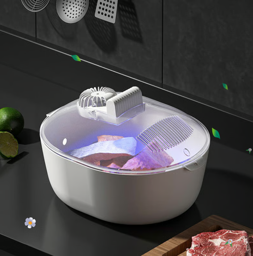 Food Preservation Defroster