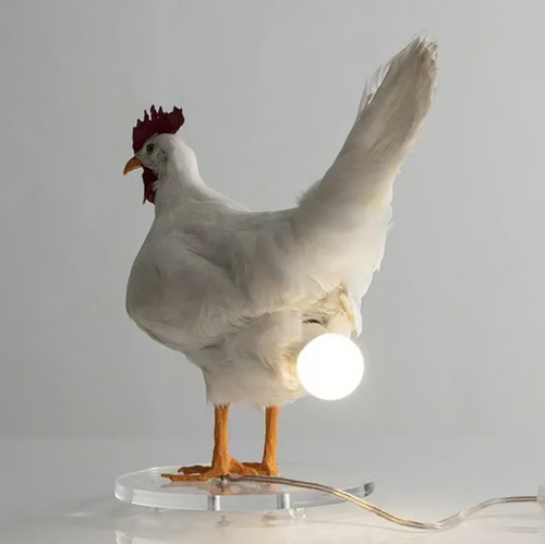 🐓💡Hilarious Chicken Egg Lamp