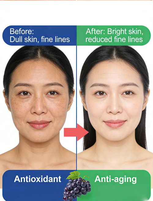 Queen Nina Grape Seeds