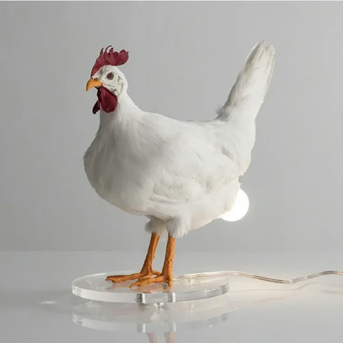 🐓💡Hilarious Chicken Egg Lamp