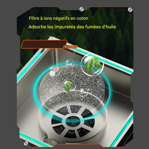 Paiement à la livraison,Purifier le cendrier