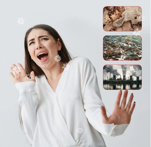 🚰 50% OFF NOW! ✨ Stainless Steel Faucet Water Purifier - Required with 5-Stage Filtration for Clean Drinking Water 💧🏠