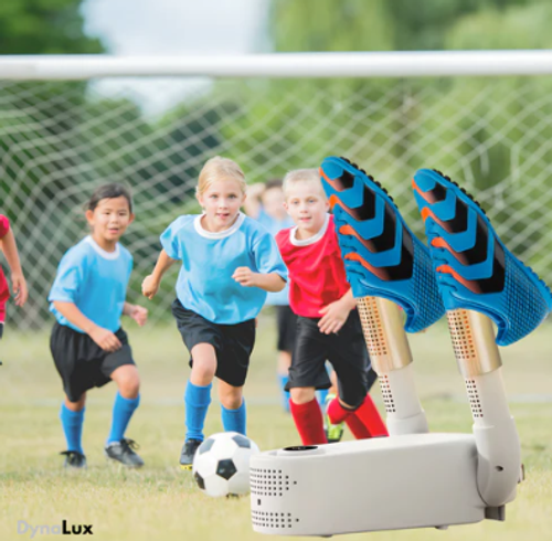 DynaLux ProCare Shoe Dryer