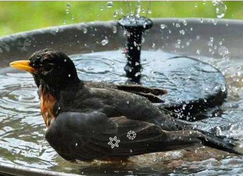 🎁Solar Fountain, Solar Powered Bird Bath Fountain Pump with 4 Nozzles 1.4W Solar Panel Kit Water Pump, Outdoor Watering Submersible Pump for Pond, Pool, Garden, Fish Tank