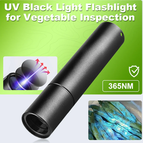 UV Black Light Flashlight for Vegetable Inspection