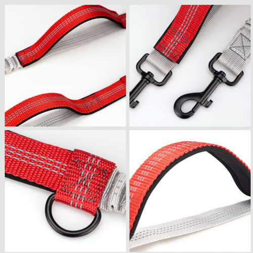 Hands Free Dog Leash