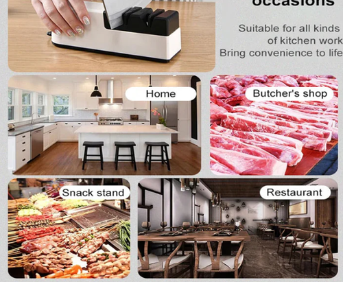 Professional Electric Knife Sharpener