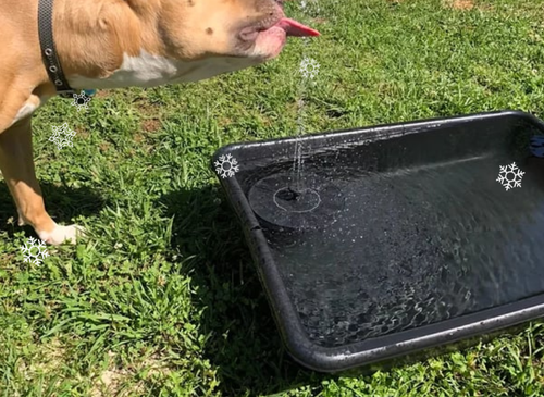 🎁Solar Fountain, Solar Powered Bird Bath Fountain Pump with 4 Nozzles 1.4W Solar Panel Kit Water Pump, Outdoor Watering Submersible Pump for Pond, Pool, Garden, Fish Tank