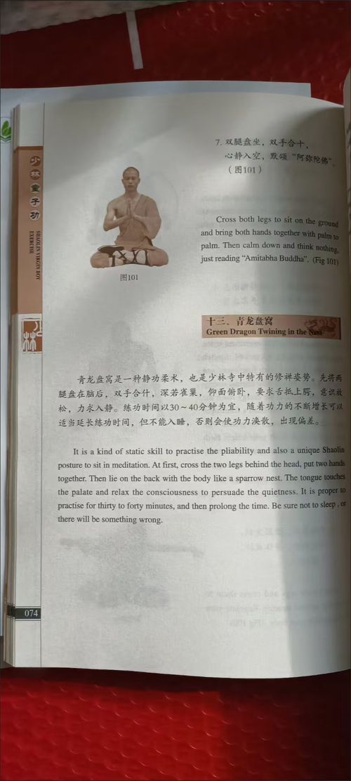 Chinese Kung Fu: Shaolin Child's Skill