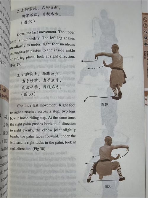Chinese Kung Fu: Shaolin Child's Skill