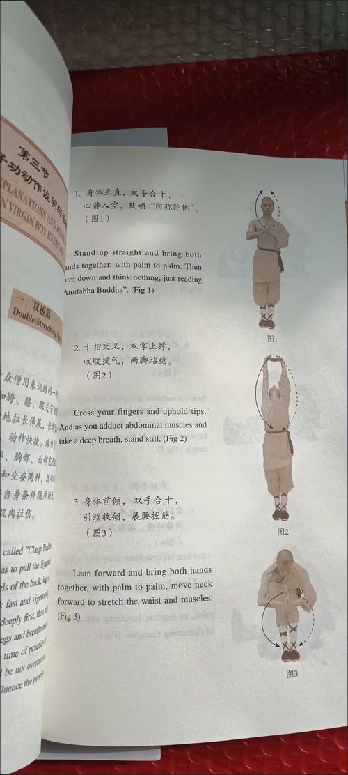 Chinese Kung Fu: Shaolin Child's Skill